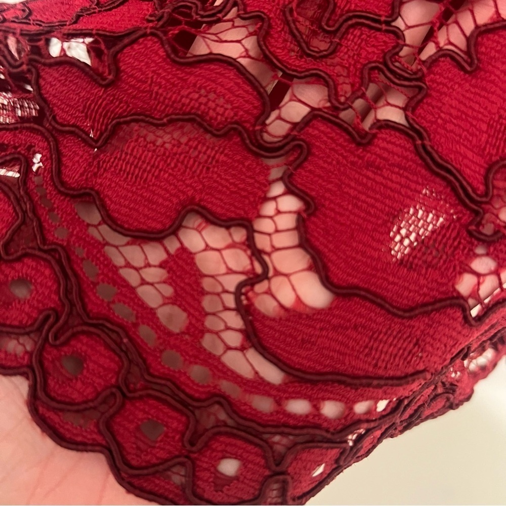 Lela Rose Red Lace Mini Dress - Picture 8 of 11